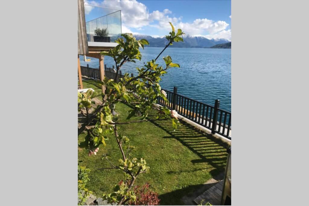 Panoramaresort In Hardangerfjorden Leilighet I Sjokanten Ved Hardangerfjorden For 7 Personer Boat , Sauna,Kajak, Sup For Rent Øystese Exterior foto